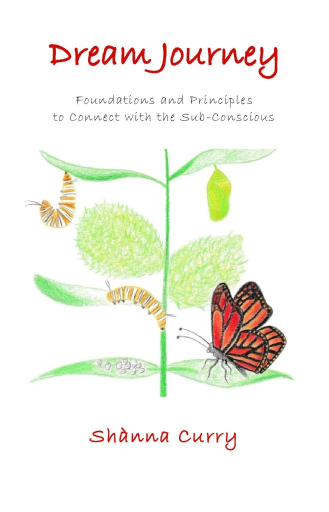 Dream Journey Book Front Cover by Shanna Curry